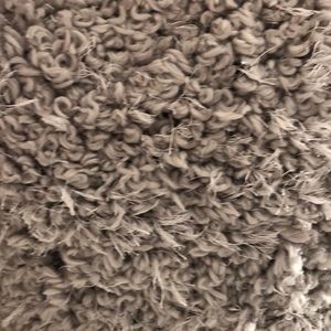 Meet your Posher, Daisy